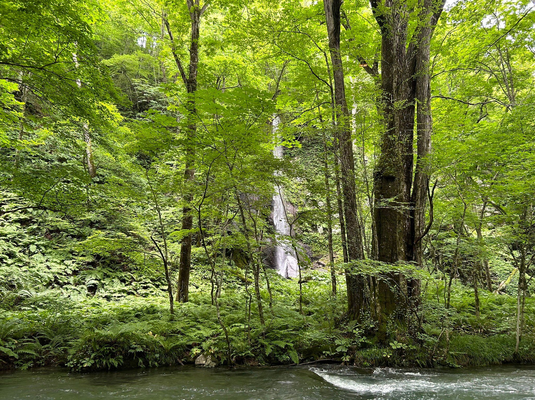 Shiraito Falls-十和田市必去景点