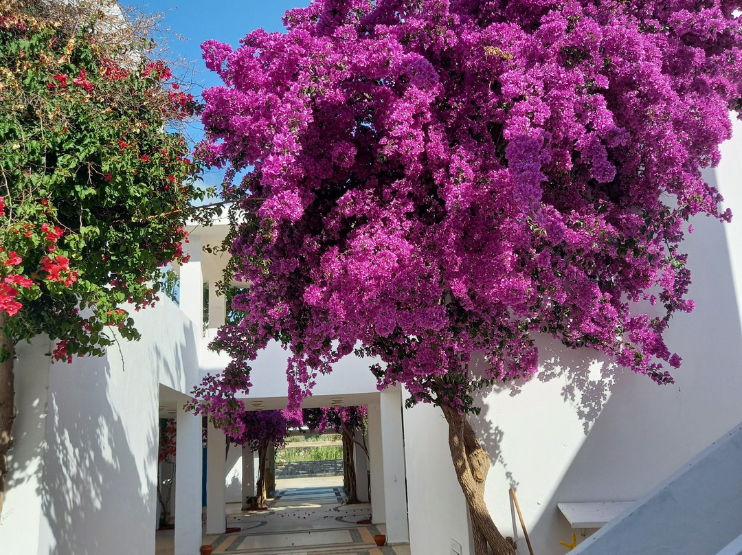 Ladonia Hotels Zemda主图