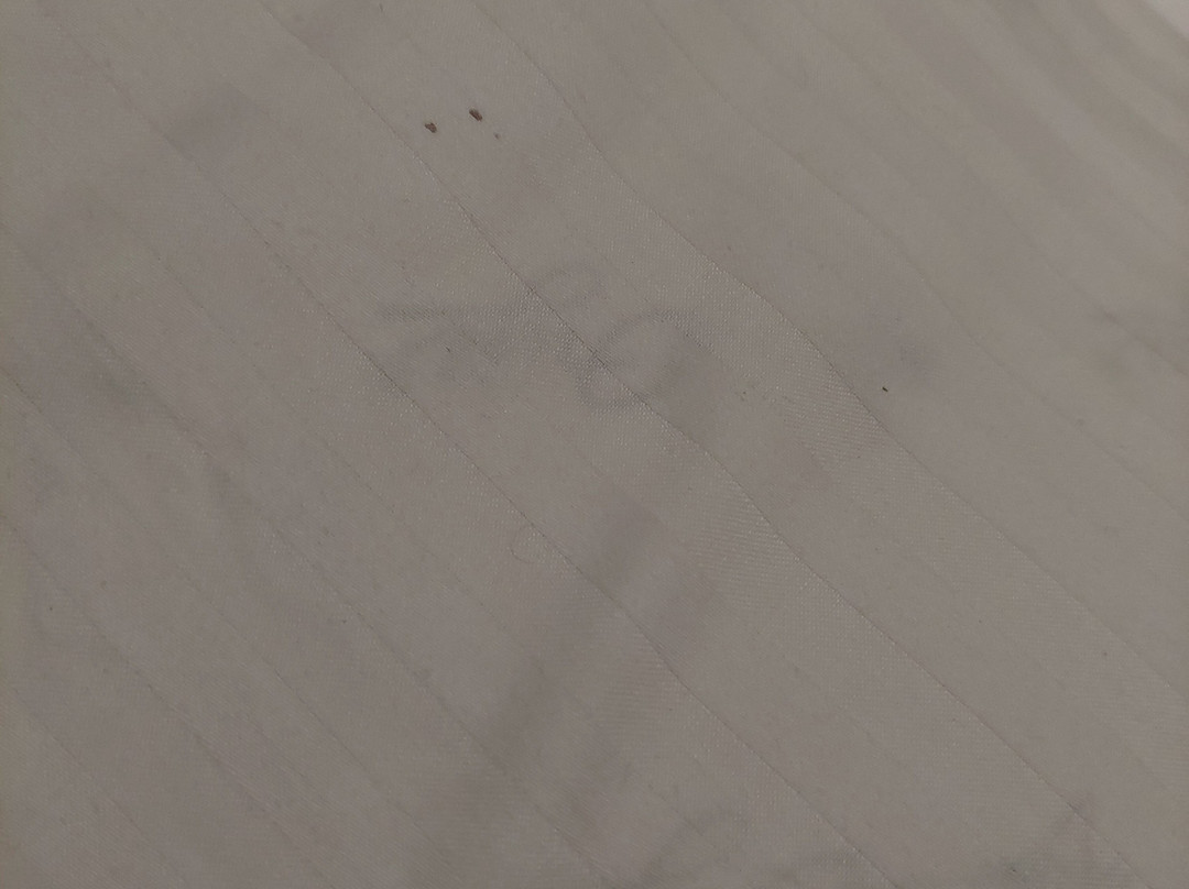 Beach Grand and Spa Premium主图