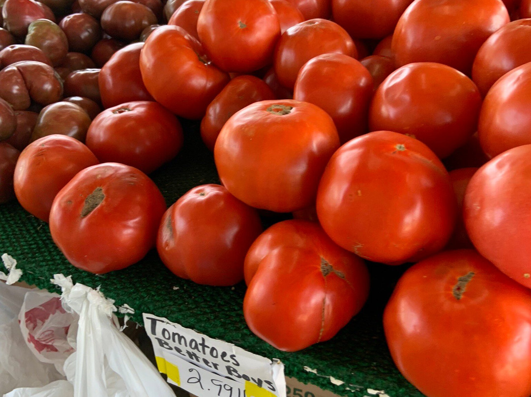 Piedmont Triad Farmers Market景点图片