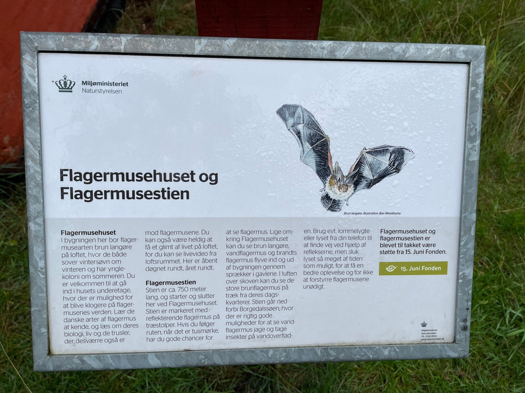 Flagermusehuset-Gudhjem必去景点