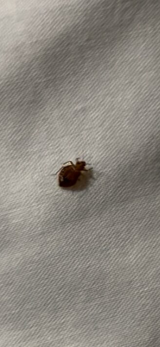 贝克利旅行酒店主图