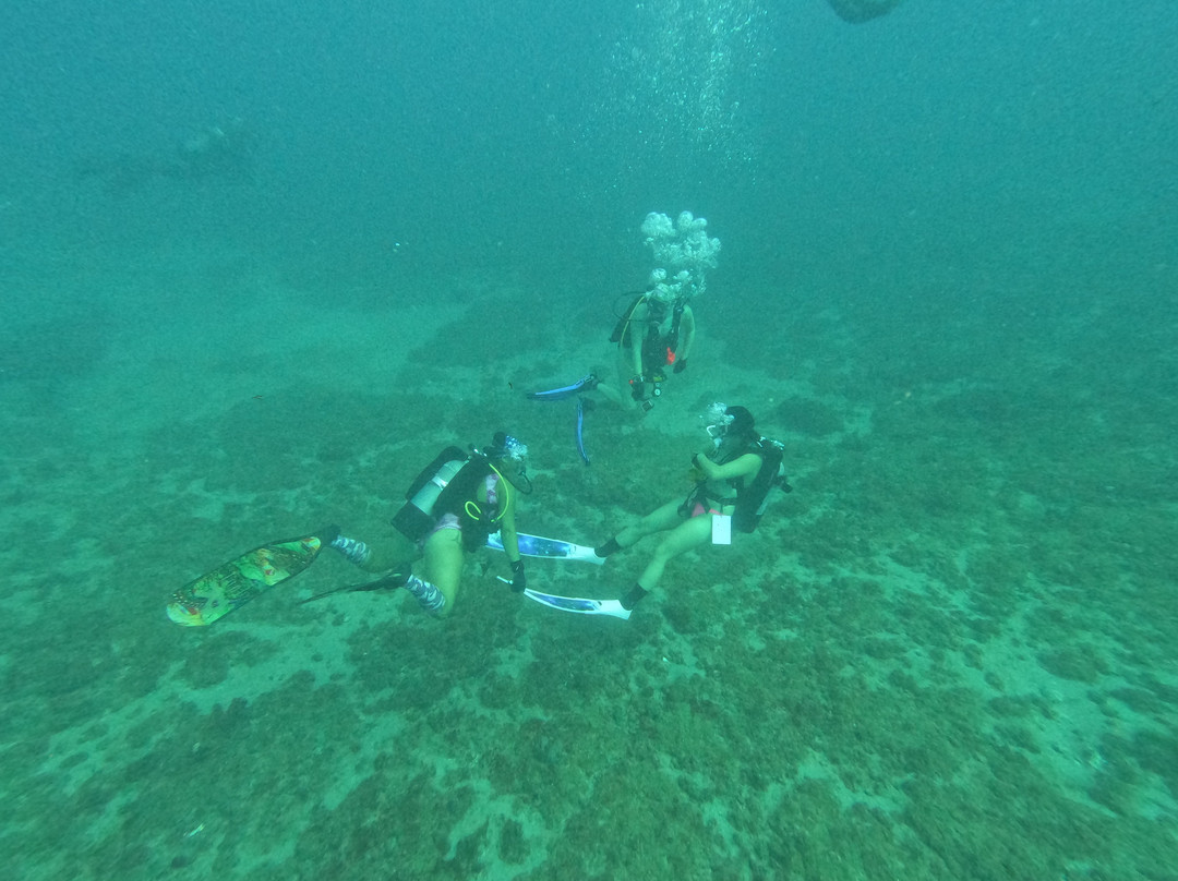 Scuba Works-朱庇特必去景点