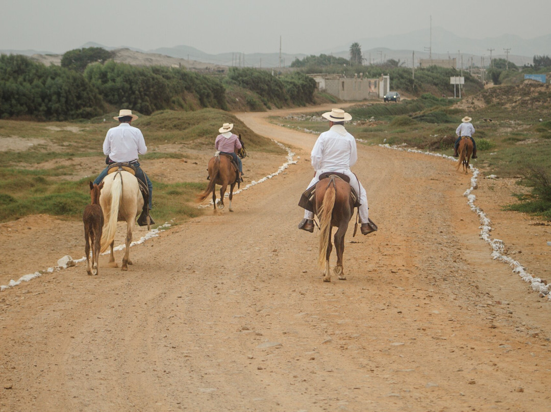 Cabalgata en caballo peruano de paso-Pacasmayo必去景点