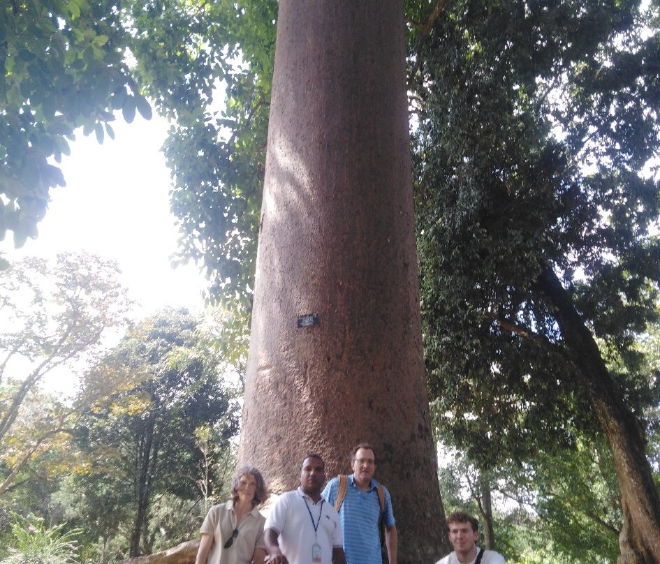 Thenumi Cabs and Tours-加勒必去景点