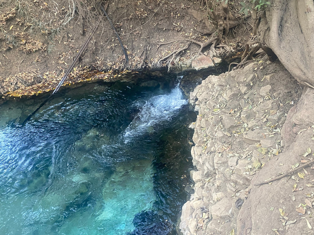 Katherine Motel主图