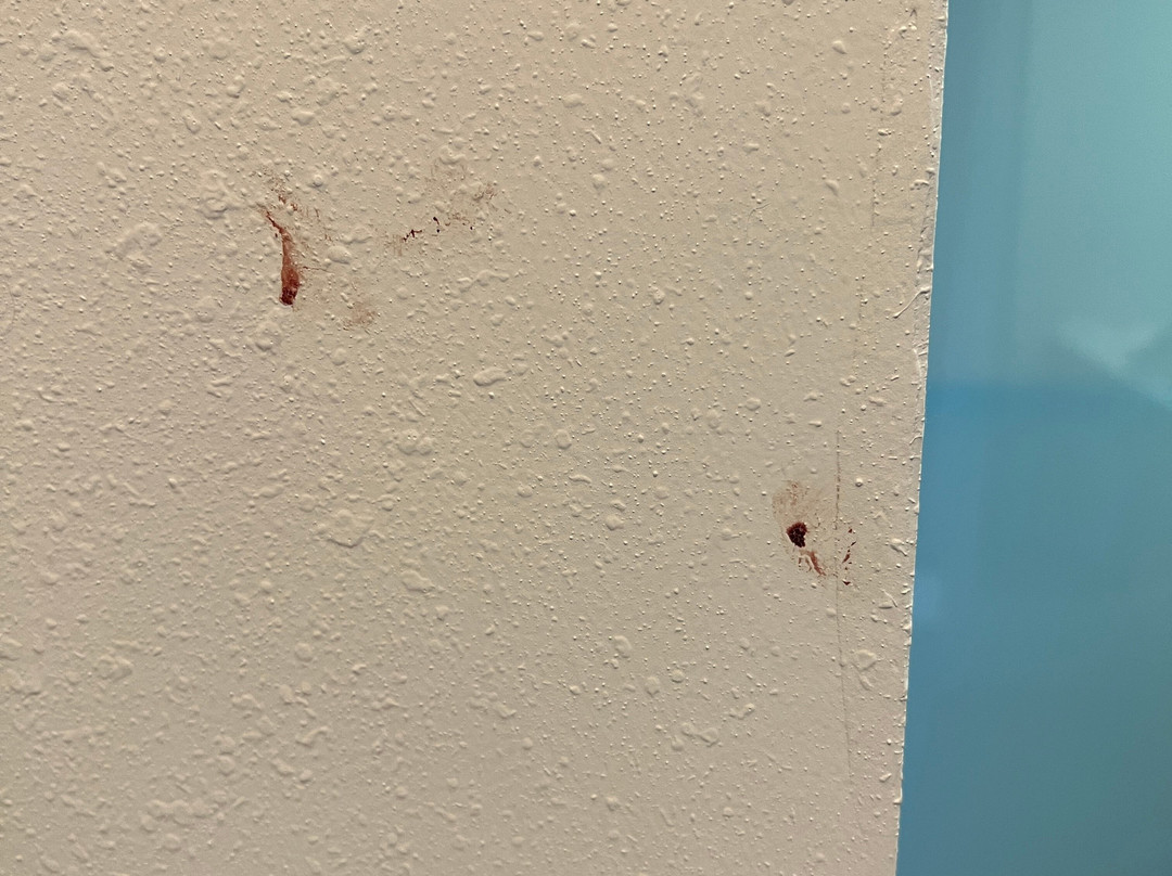 Aloft Louisville East主图