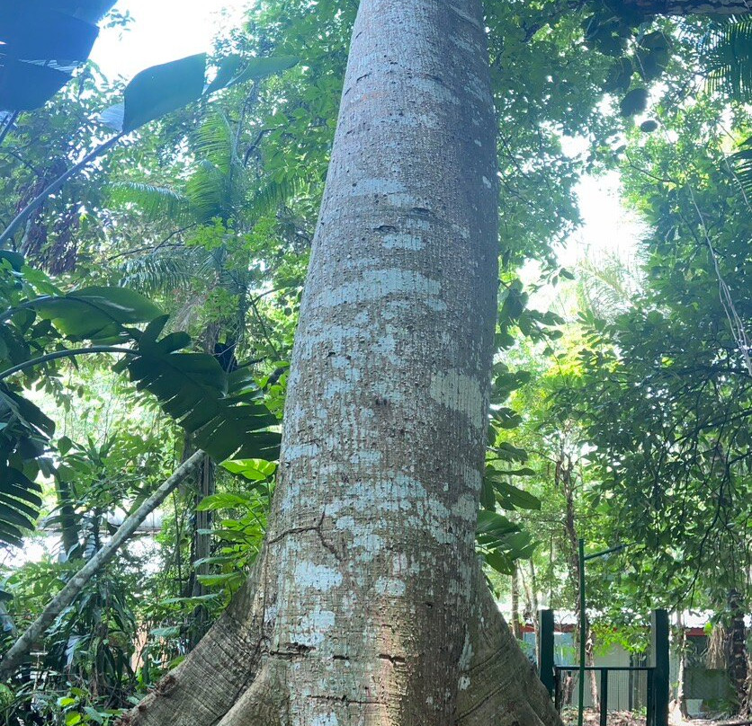 TransferVictor Tours-玛瑙斯必去景点