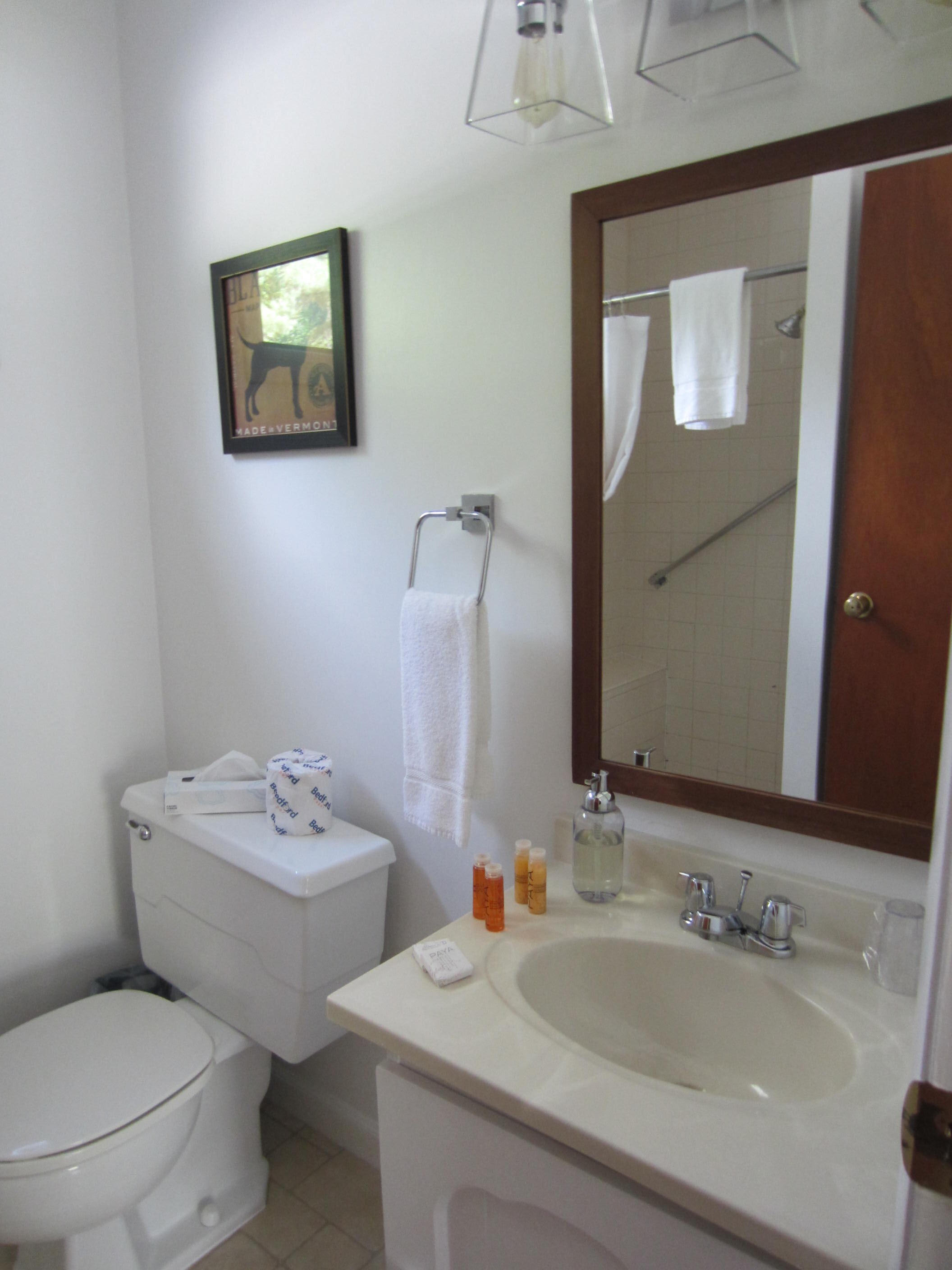 Arcady Mountain Motor Lodge-浴室