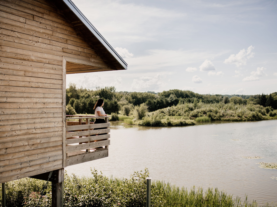 Domaine Taschereau-Parc Nature-Sainte-Marie必去景点