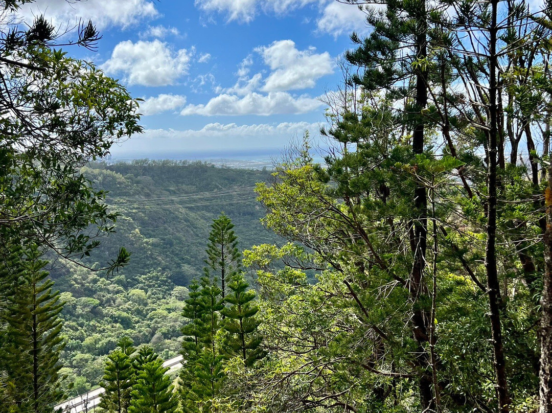 Aiea Loop Trail景点图片