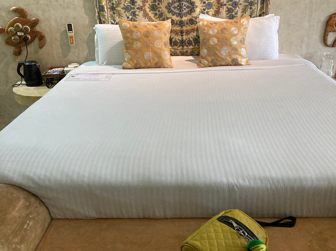 Matsya Island Retreat主图