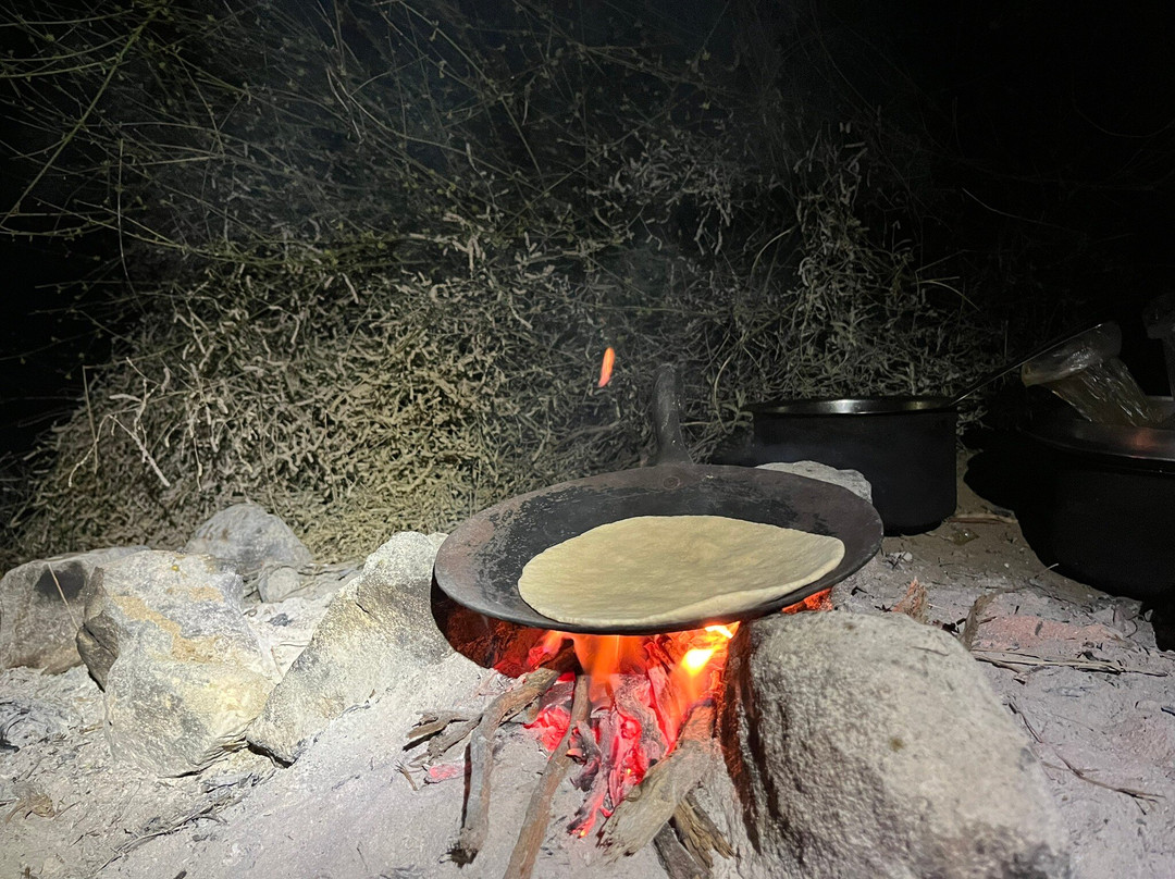 Renuka Camel Safari-杰伊瑟尔梅尔必去景点