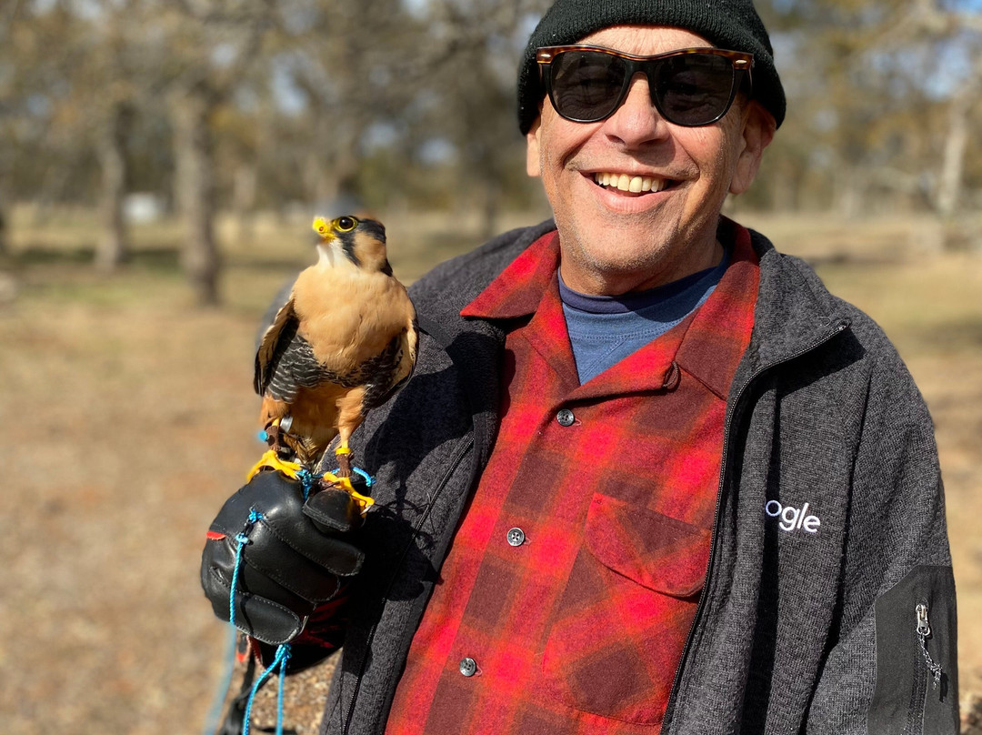 West Coast Falconry景点图片