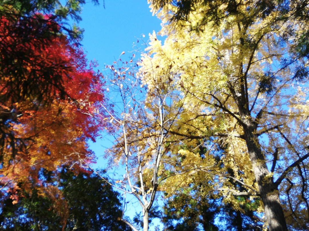Chorin-ji Temple-足利市必去景点