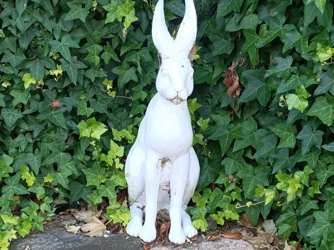 Comerford Hall Bed & Breakfast主图