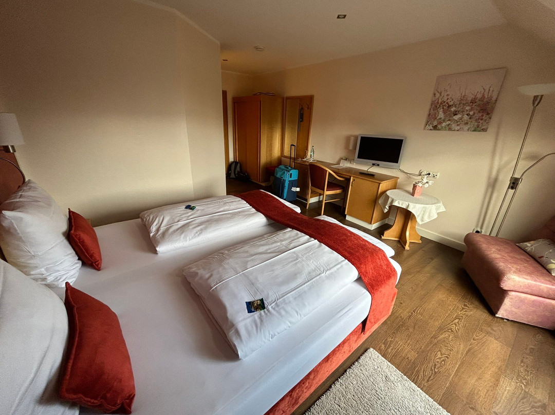 PANORAMA Hotel Heimbuchenthal主图