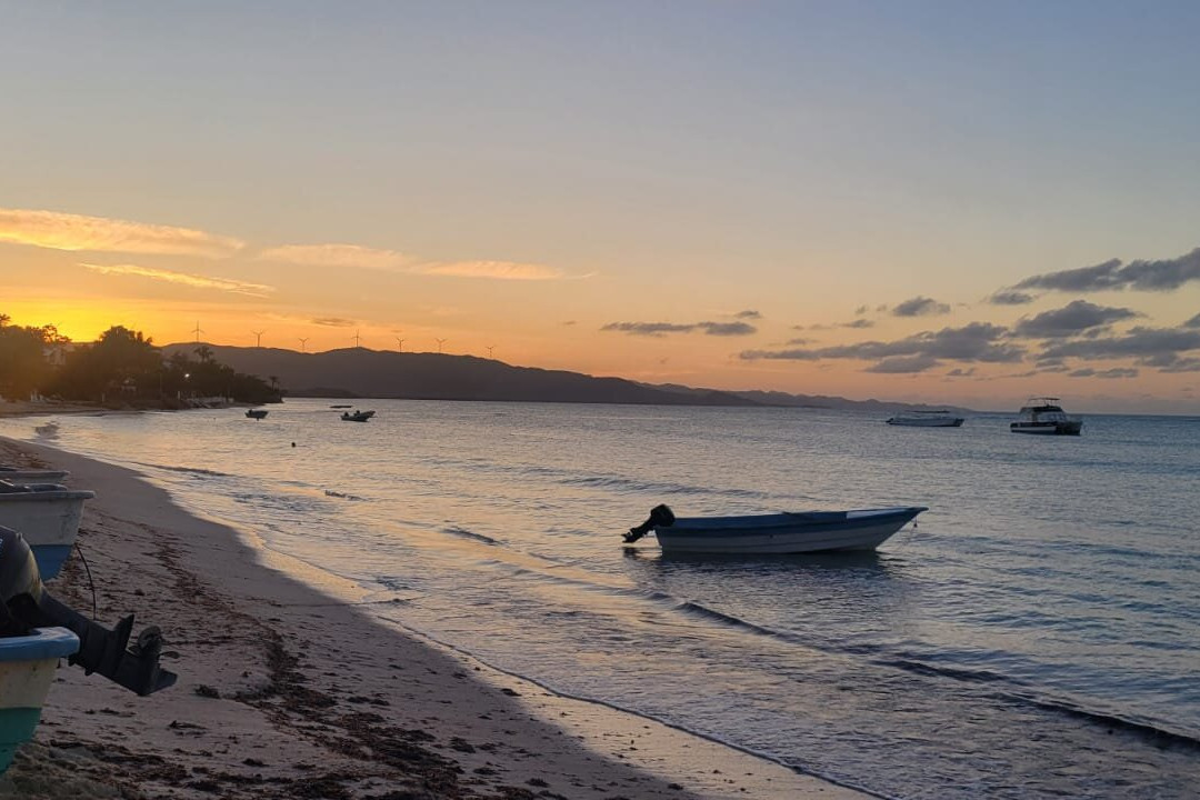 Corales Punta Rusia主图