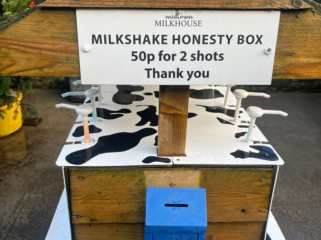 Midtown Milkhouse景点图片