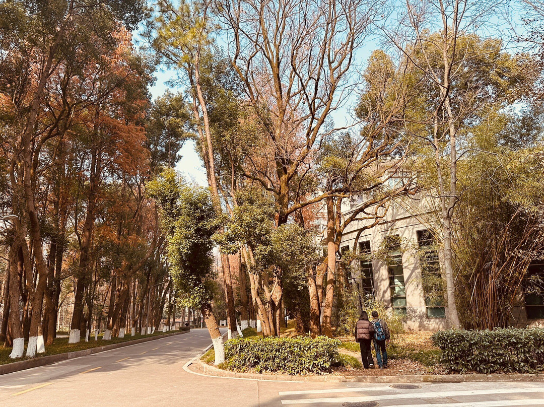 武汉大学-武汉市必去景点