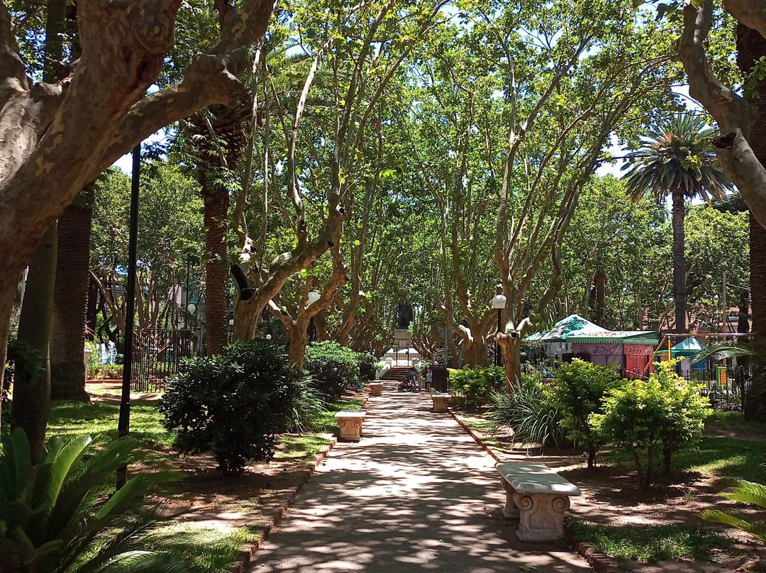 Plaza Vicente López y Planes-Olivos必去景点