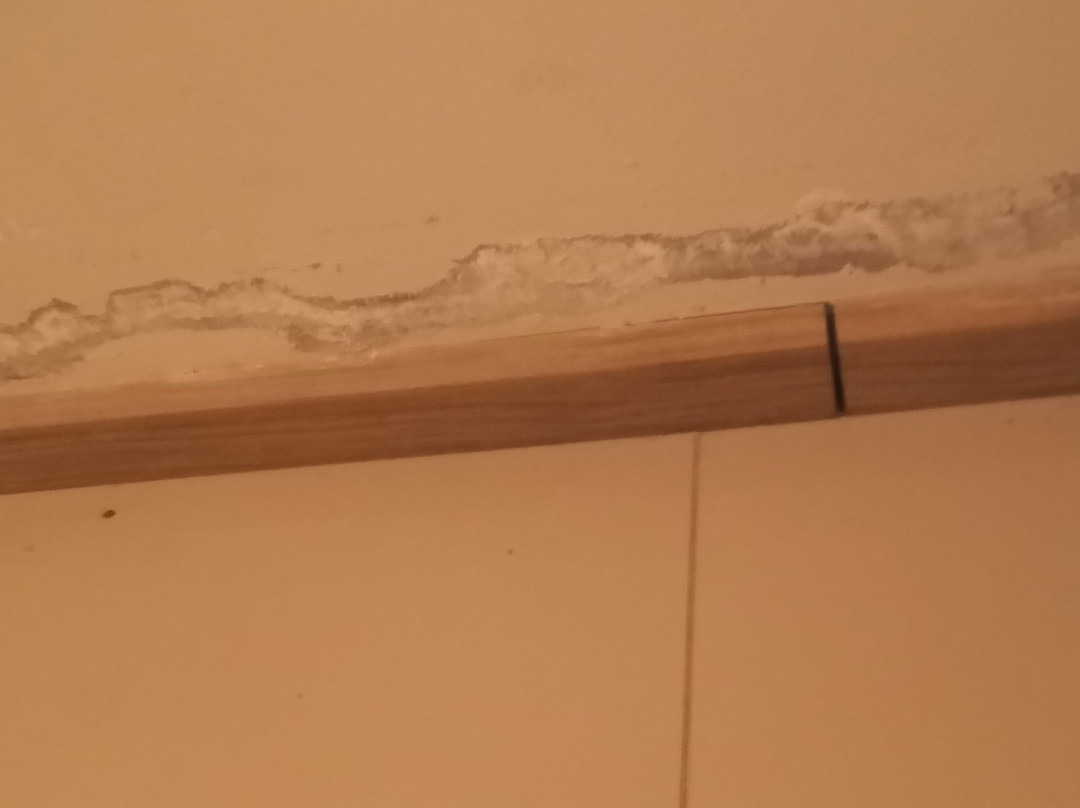 Casa Coco Residence主图