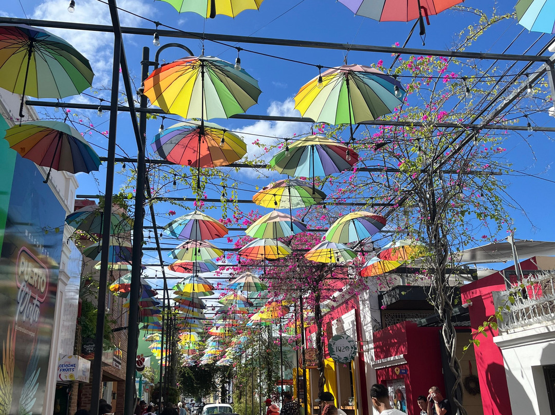 Ramon's Tours - Excursions & Transportation-普拉塔港必去景点