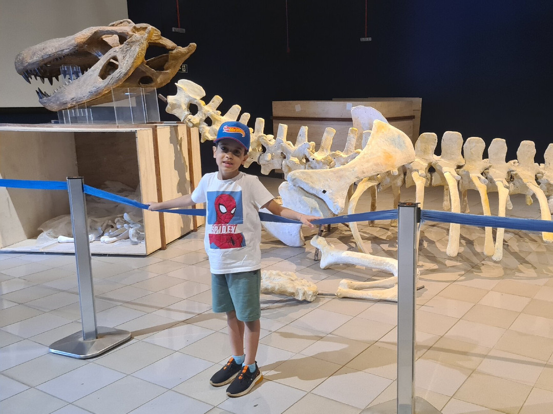 Museu de Ciências Naturais PUC Minas-贝洛哈里桑塔必去景点