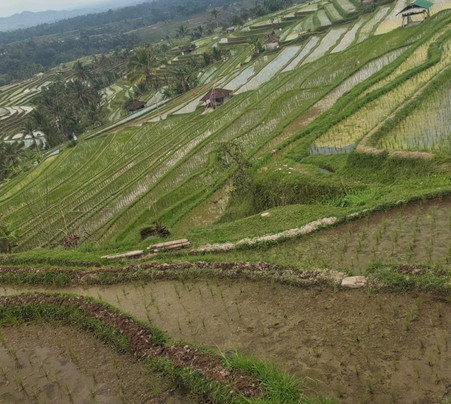 Moraia Citra Nusantara-库塔必去景点