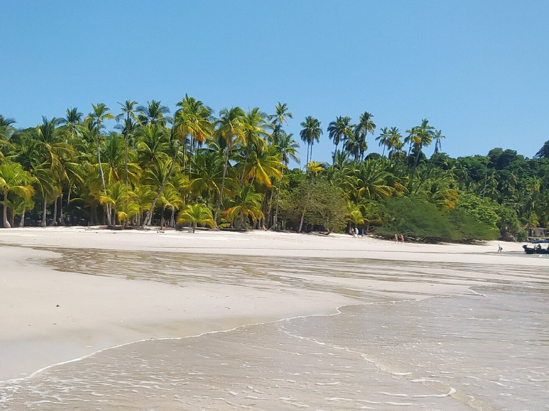 Premier Coiba Tours景点图片