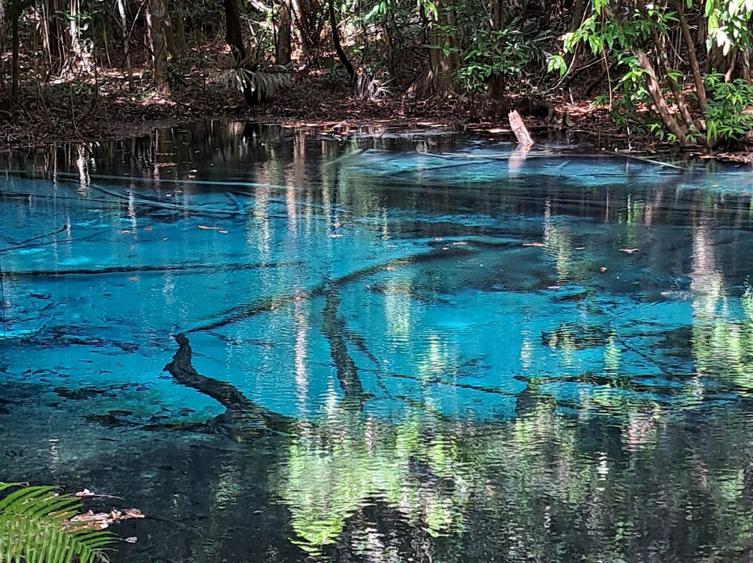 Khao Pra Bang Kharm Wildlife Sanctuary景点图片