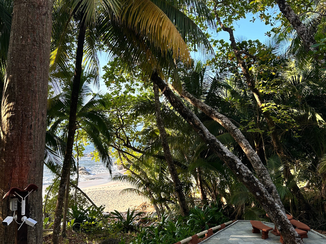 Ylang Ylang Beach Resort主图