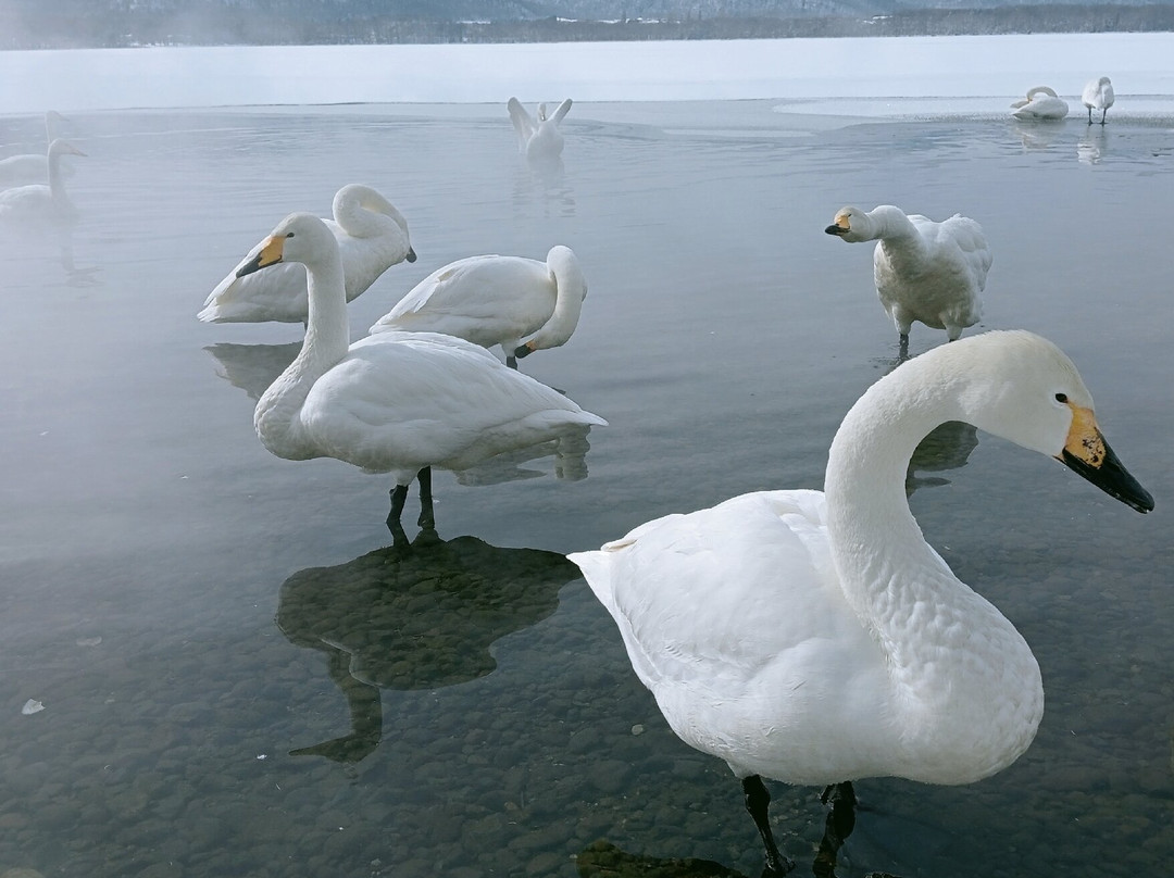 Kotan Onsen-弟子屈町必去景点