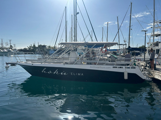 Alii Ocean Tours-凯鲁瓦-柯纳必去景点