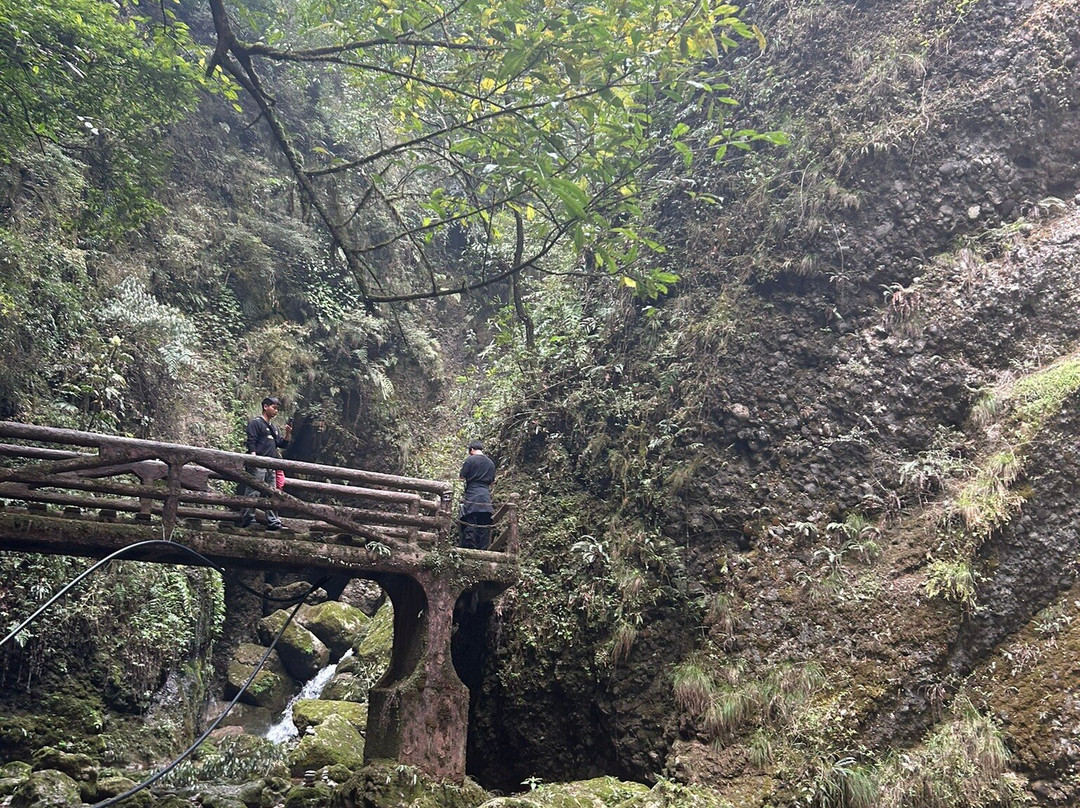 青城山后山 景点图片