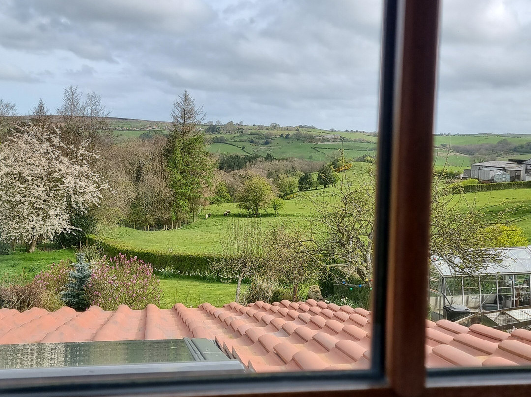 Meadowsweet @ Laneside主图