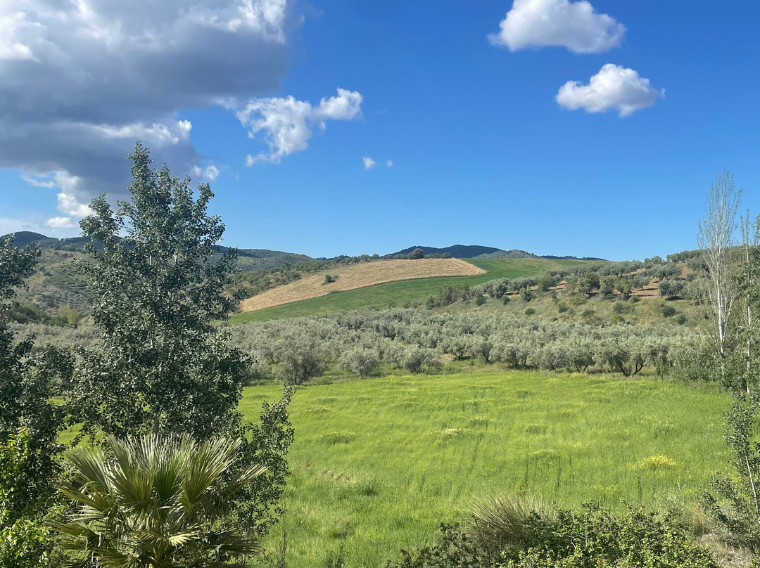 Hotel Restaurante Arco Del Sol主图