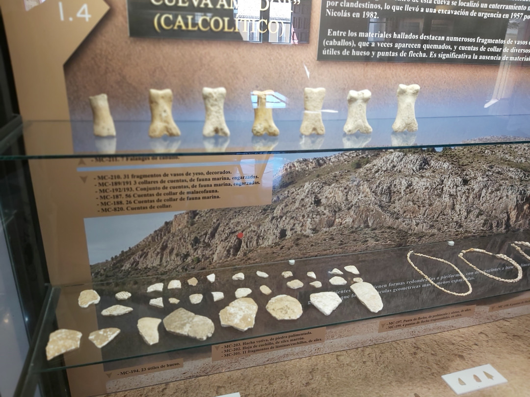 Museo Arqueológico De Cehegín-Cehegin必去景点