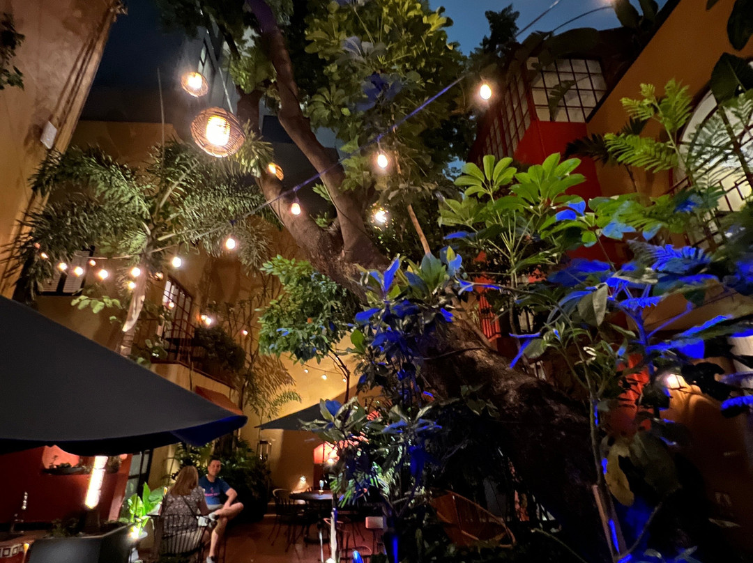 The Red Tree House主图