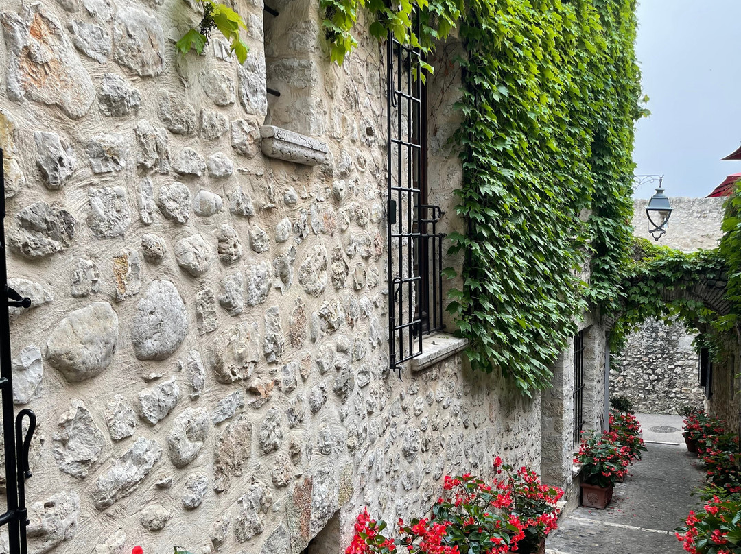 Riviera Come True Luxury Tours-尼斯必去景点