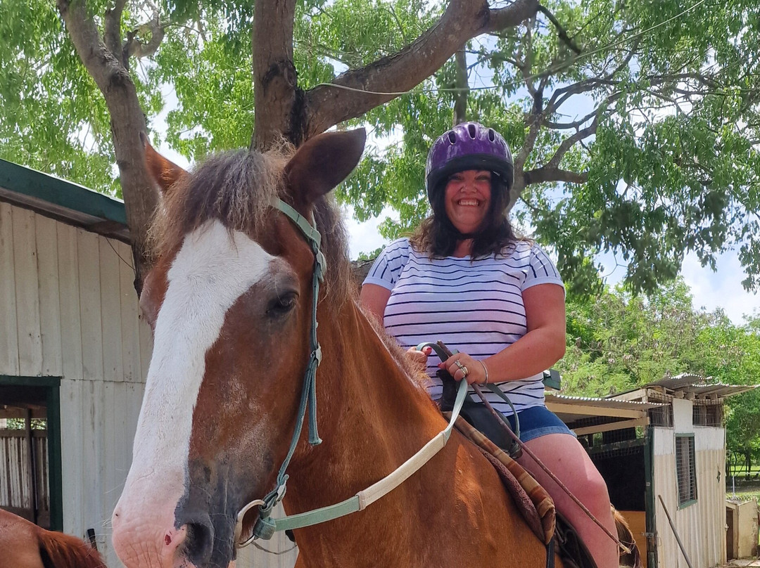 Codrington Riding Stables-Waterford必去景点