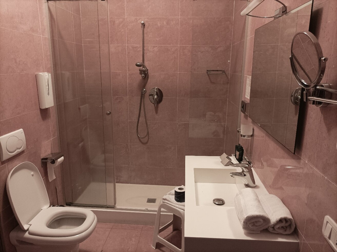 Hotel Villa Delle Rose Malpensa主图