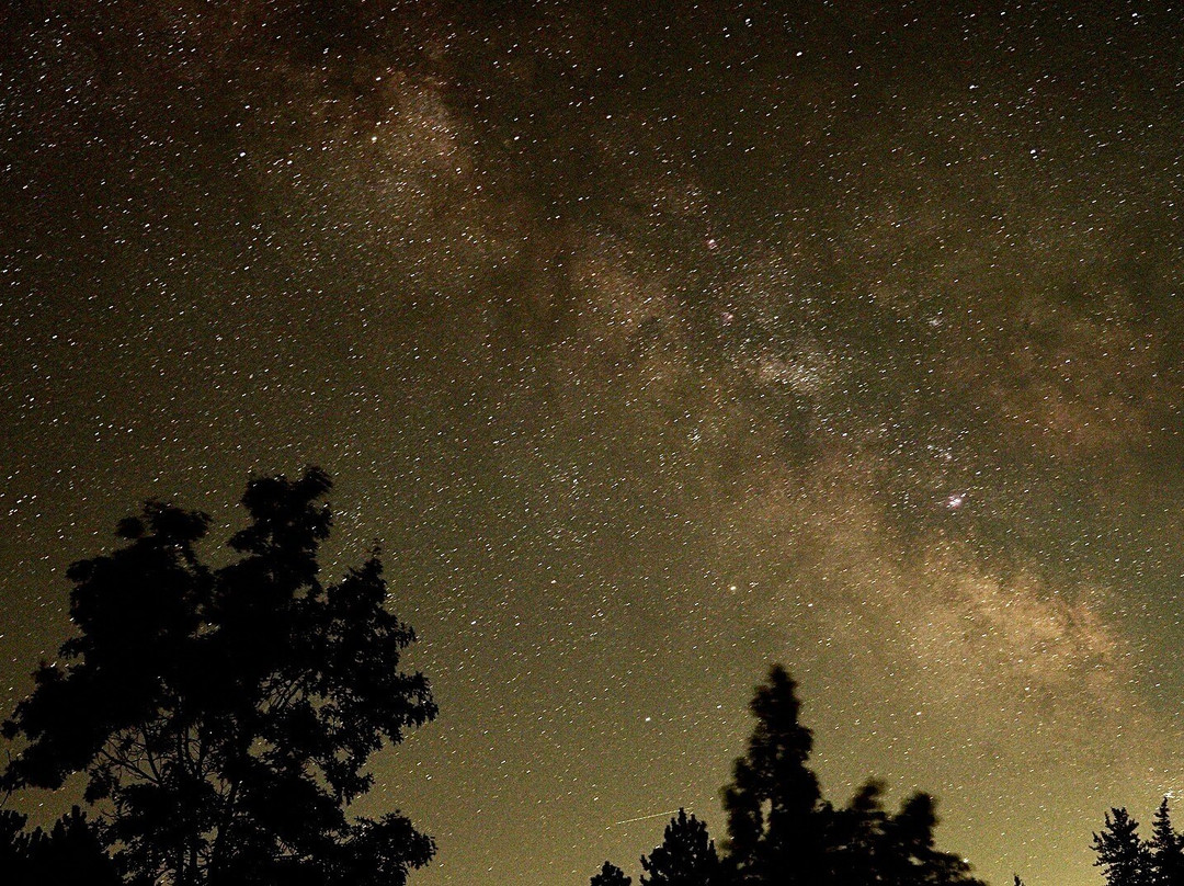 The Beachcomber Motel & Apartments主图