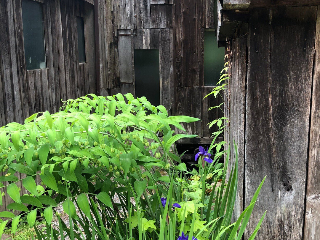 Historic Ogle Log Cabin-盖林柏格必去景点