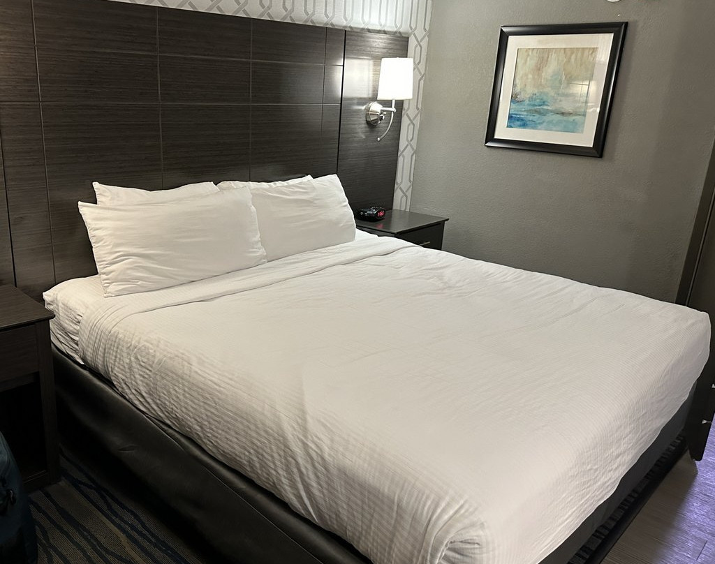 Best Western Plus Bowling Green主图