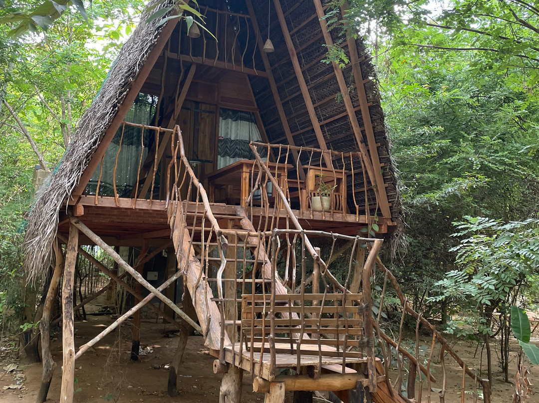 Habarana Ambasewana Resort主图