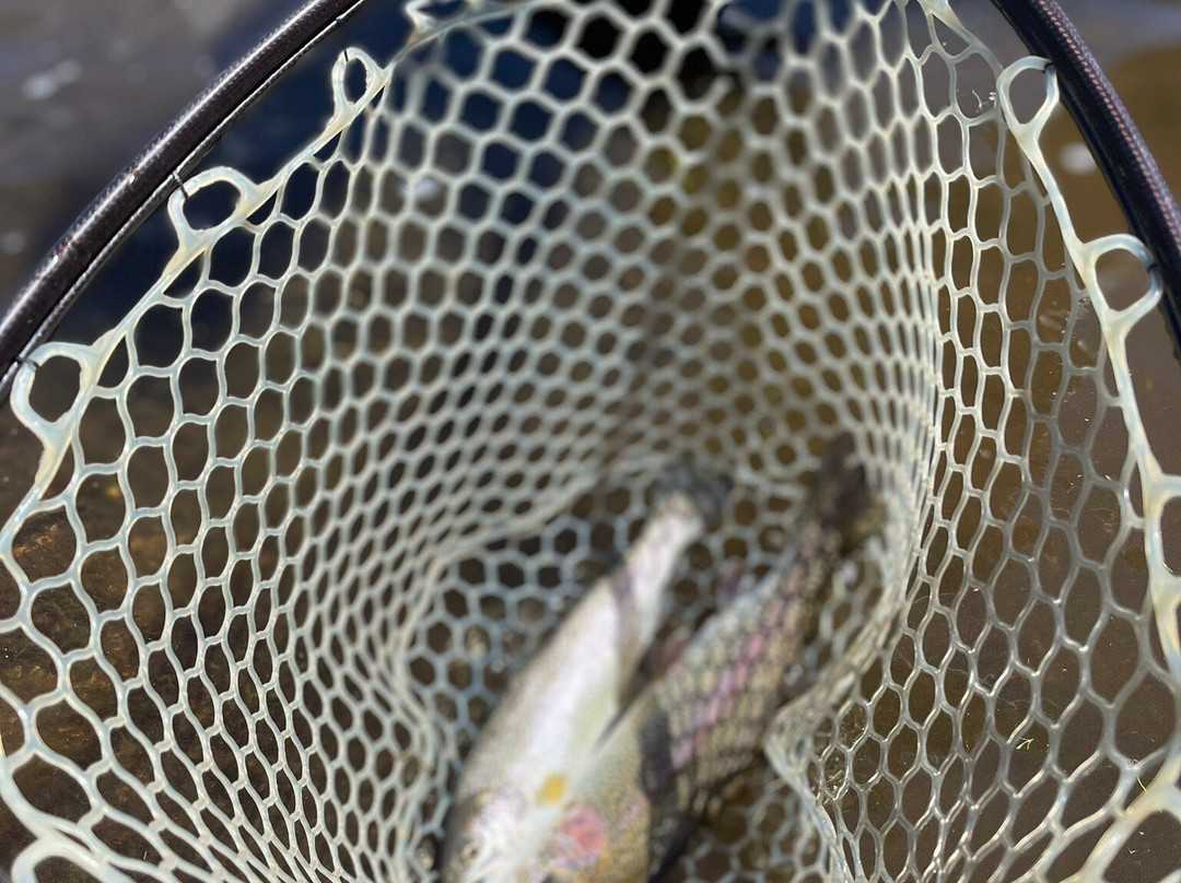 Rocky Mountain Anglers-博尔德必去景点