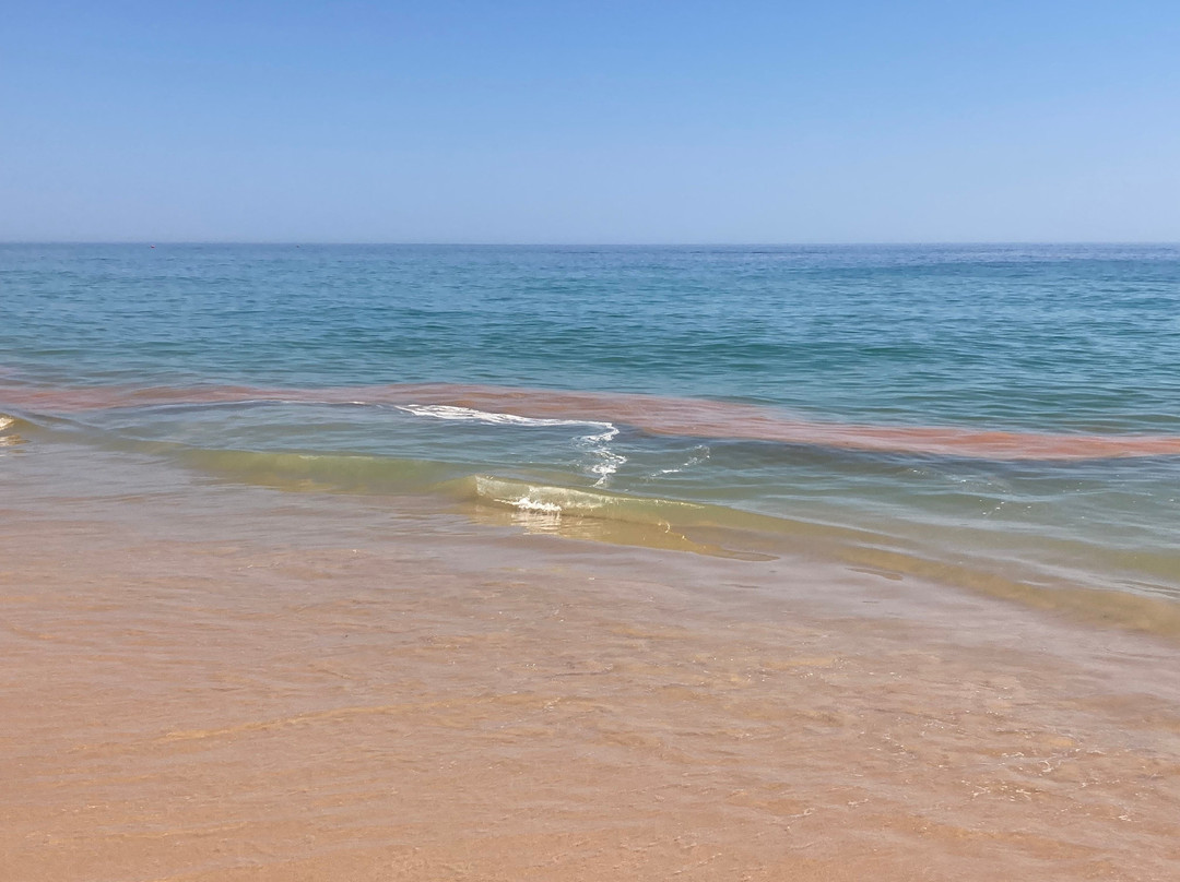 Praia De Alvor景点图片