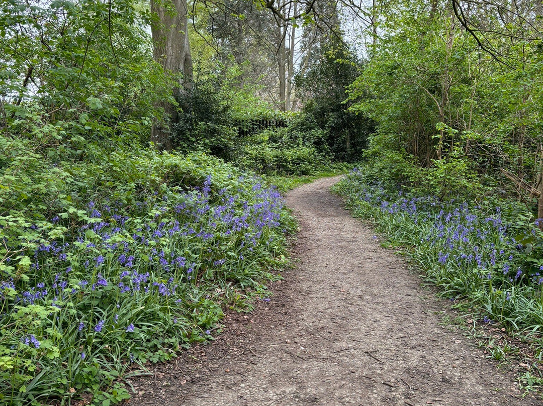 Vinters Valley Nature Reserve-梅德斯通必去景点