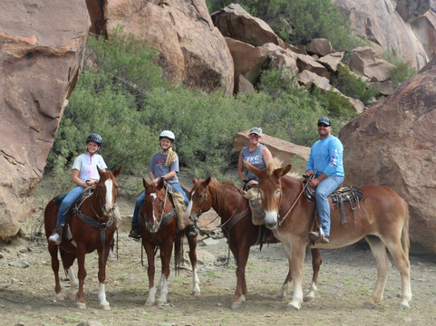 Big Bend & Lajitas Stables-Terlingua必去景点